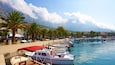 A marina with boats docked, palm trees, and a mountainous backdrop.