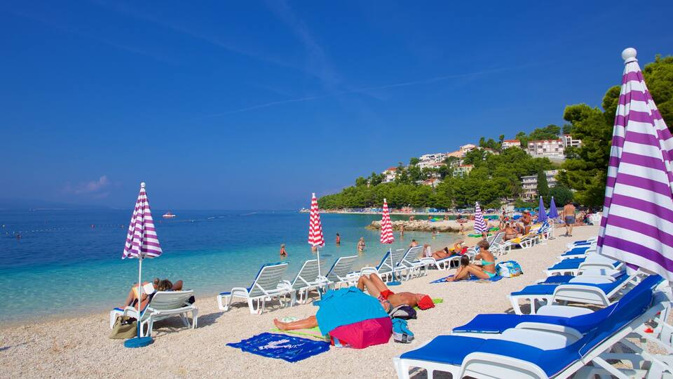 A sunny beach with clear turquoise water, white and purple striped umbrellas, and people relaxing on sun loungers.