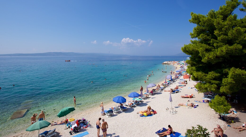 Playa Baska Voda ofreciendo una playa de guijarros y también un pequeño grupo de personas