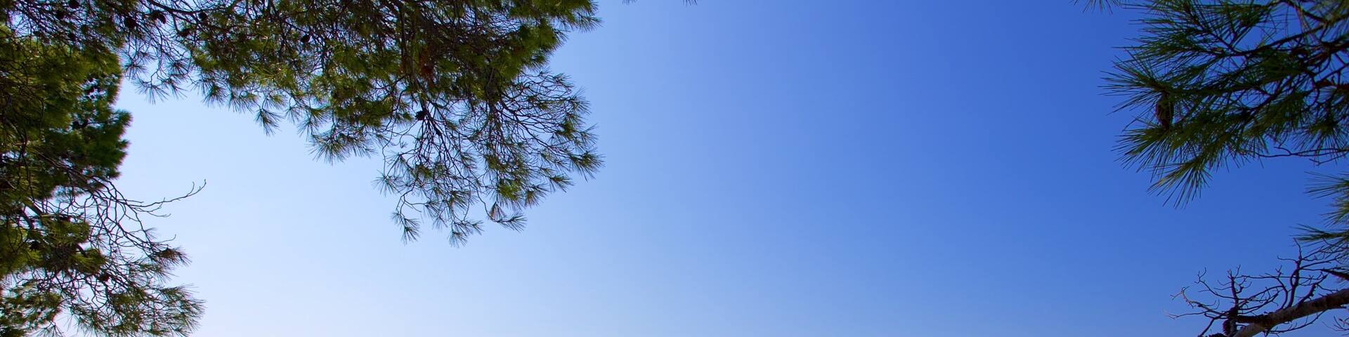 Baska Voda Beach showing general coastal views as well as a small group of people