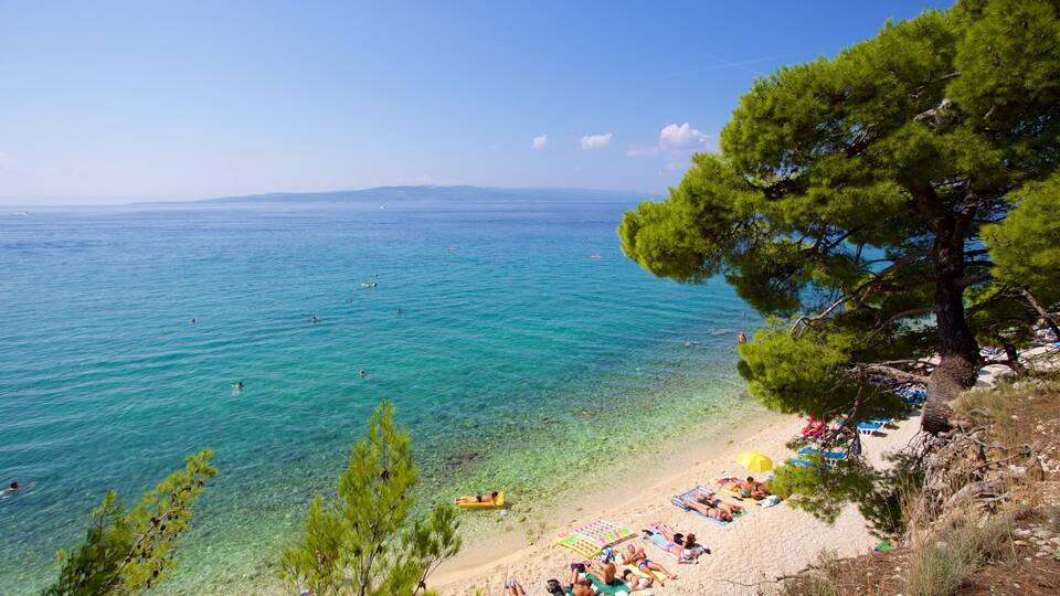 A beach with clear turquoise water, people swimming, and a tree-lined shore.