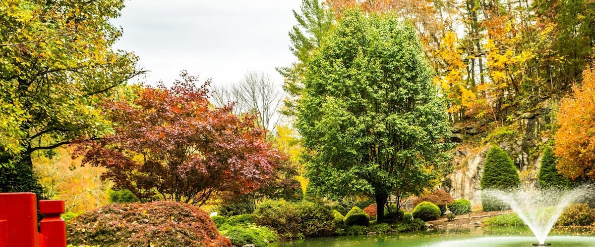 Nice place to walk, run, play, and feed crazy ducks. Some do wedding here too.