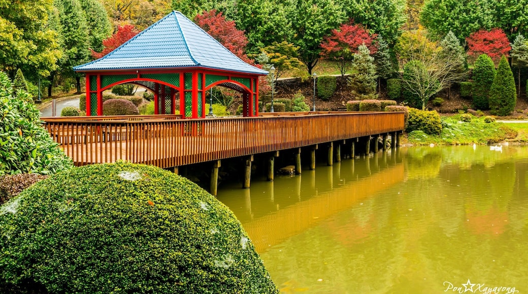 Nice place to walk, run, play, and feed crazy ducks. Some do wedding here too.