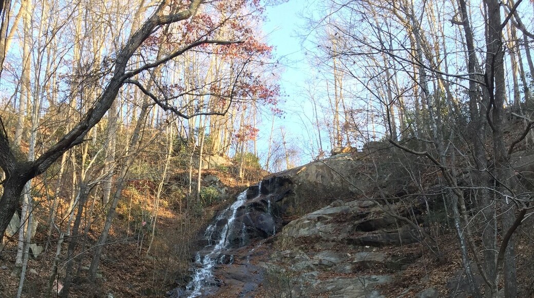 This waterfall is located right off 321 near Patterson Fire Station # 2. This is a known spot and as you can tell by the graffiti. The Mountains give us so much natural beauty and it is truly a shame when it is carelessly vandalized by acts such as graffiti. The Appalachian Mountains are a beautiful place and we don’t need to destroy the natural beauty it holds.
#appalachianechoes