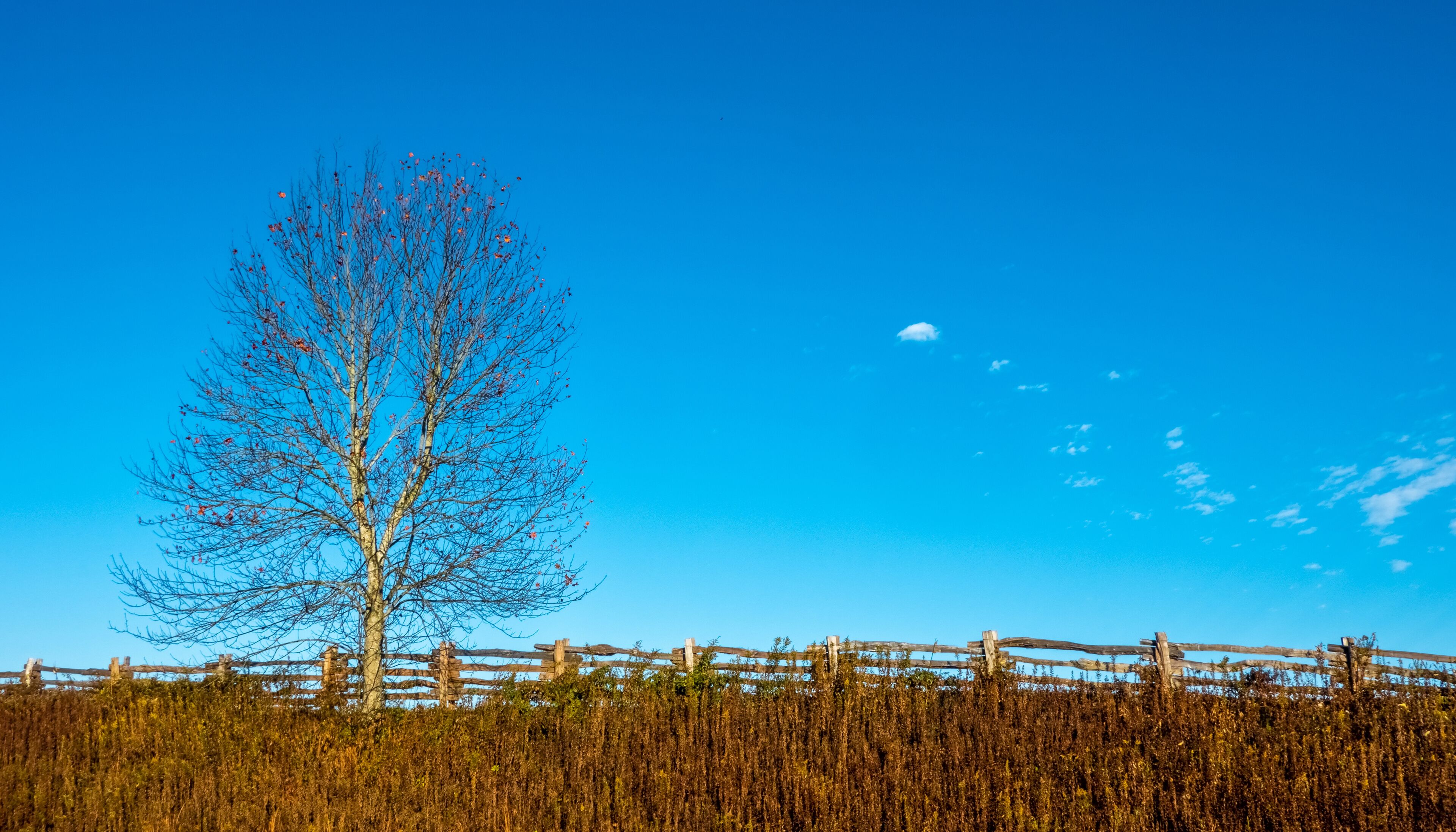 scenes at the north carolina foothills late october season early morning