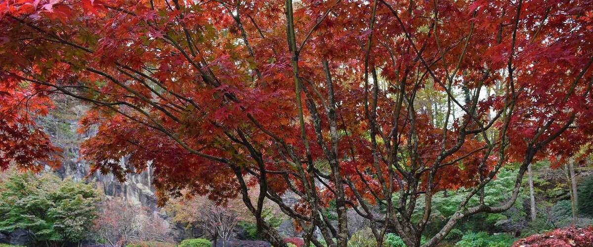 Great walking park and gardens!