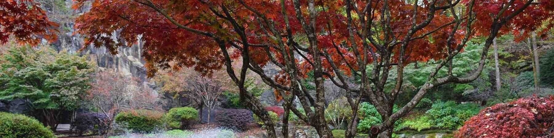 Great walking park and gardens!