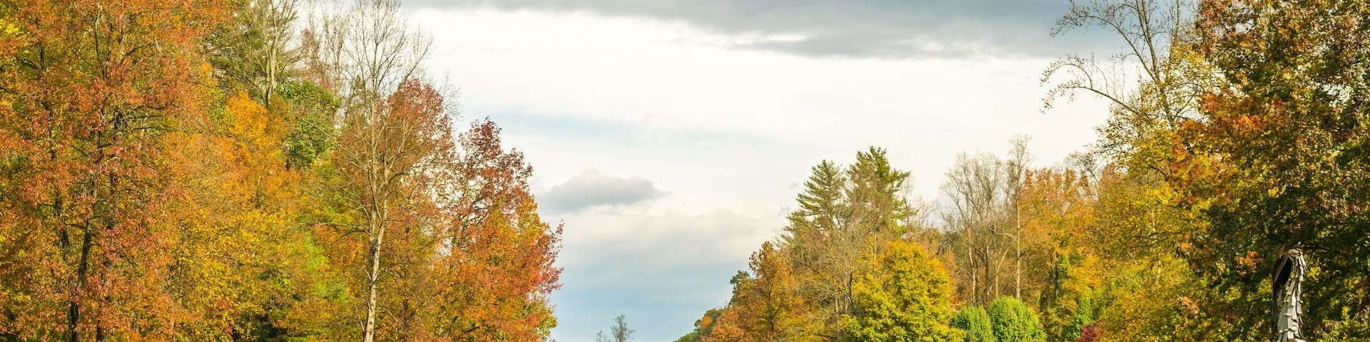Nice place to walk, run, play, and feed crazy ducks. Some do wedding here too.