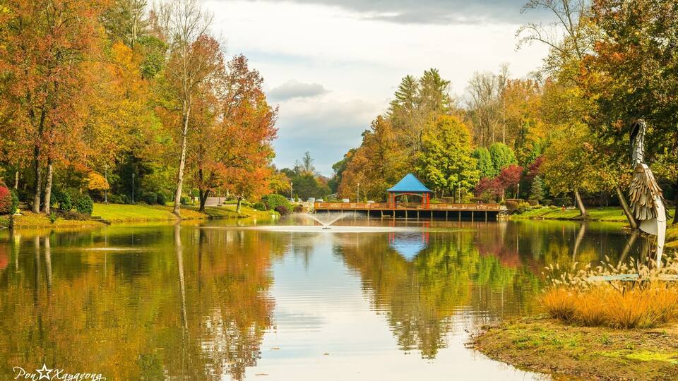 A serene park with a pond, autumn foliage, a gazebo, and a bridge.