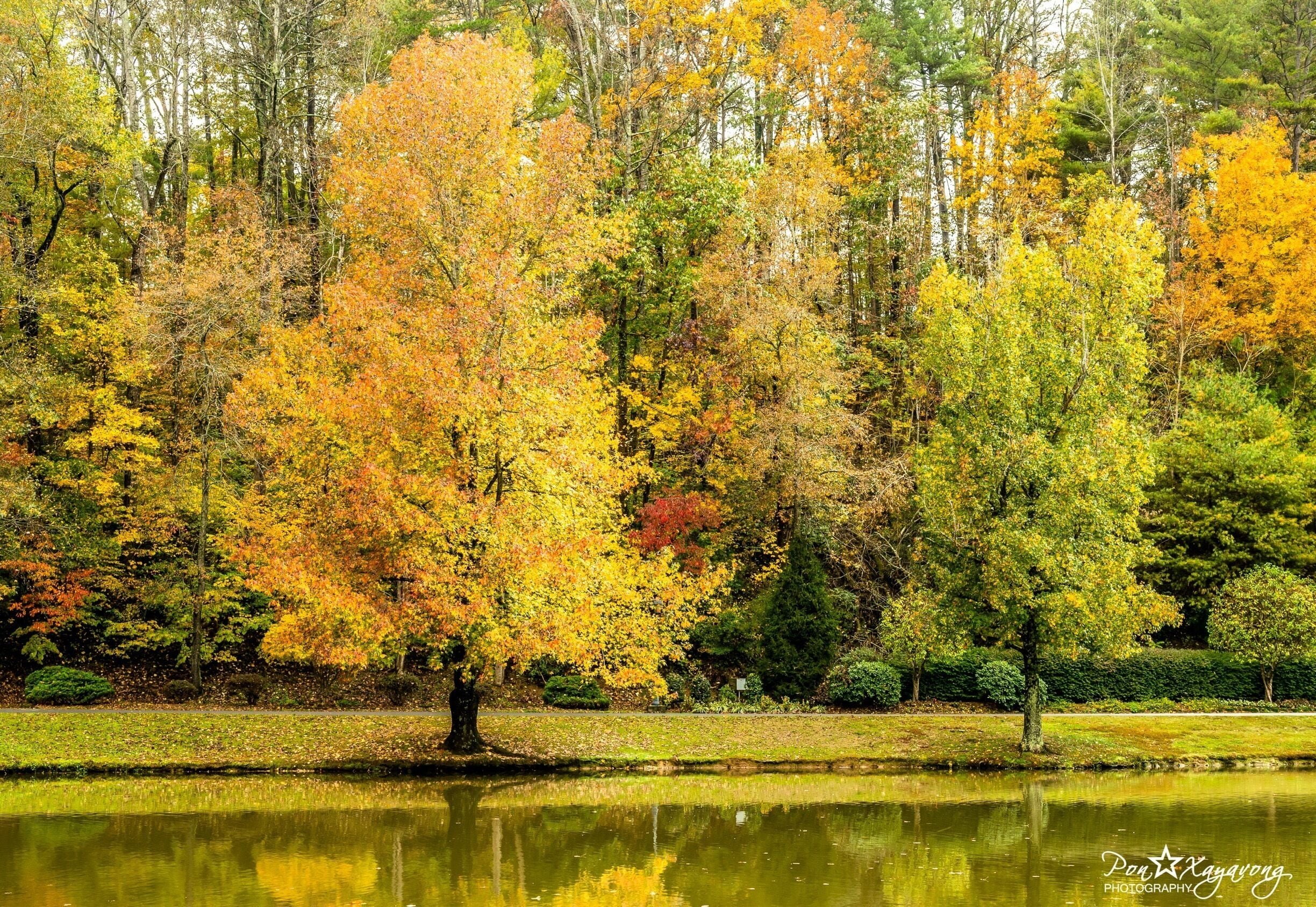 A pond surrounded by trees with autumn foliage.