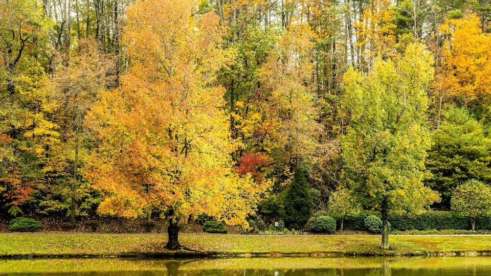 A pond surrounded by trees with autumn foliage.