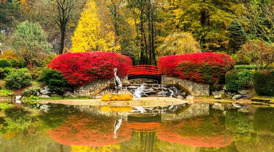 Nice place to walk, run, play, and feed crazy ducks. Some do wedding here too.