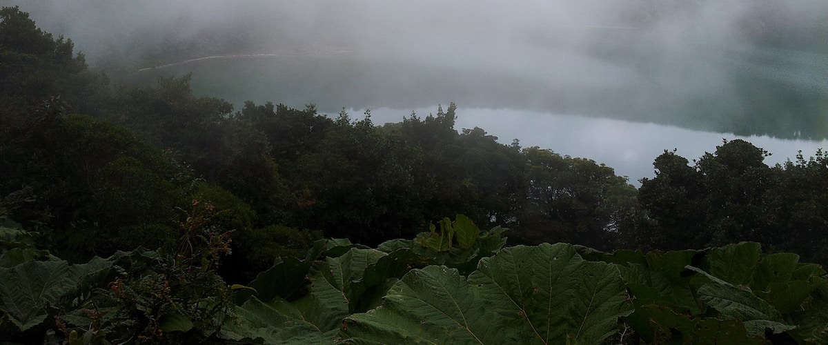 A misty landscape with a lake surrounded by dense greenery.