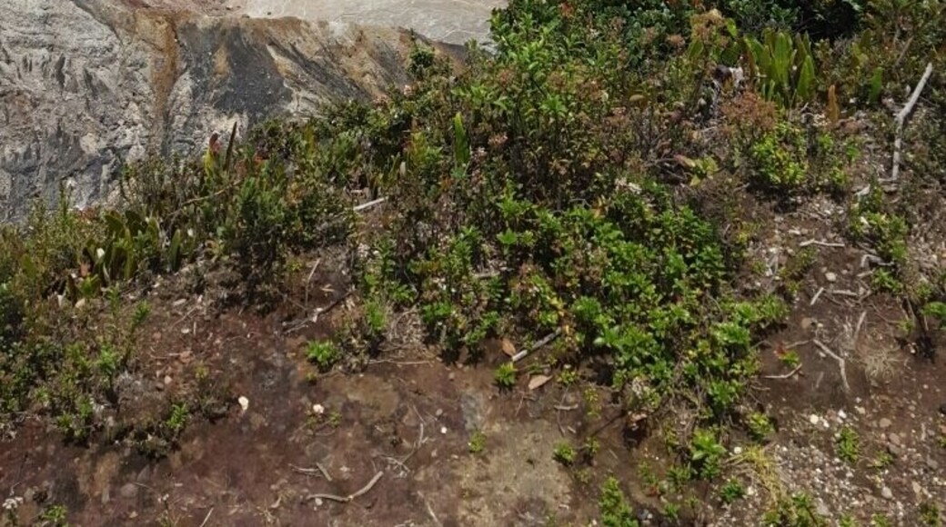 Beautiful #Poas #Volcano #EndlessSummer