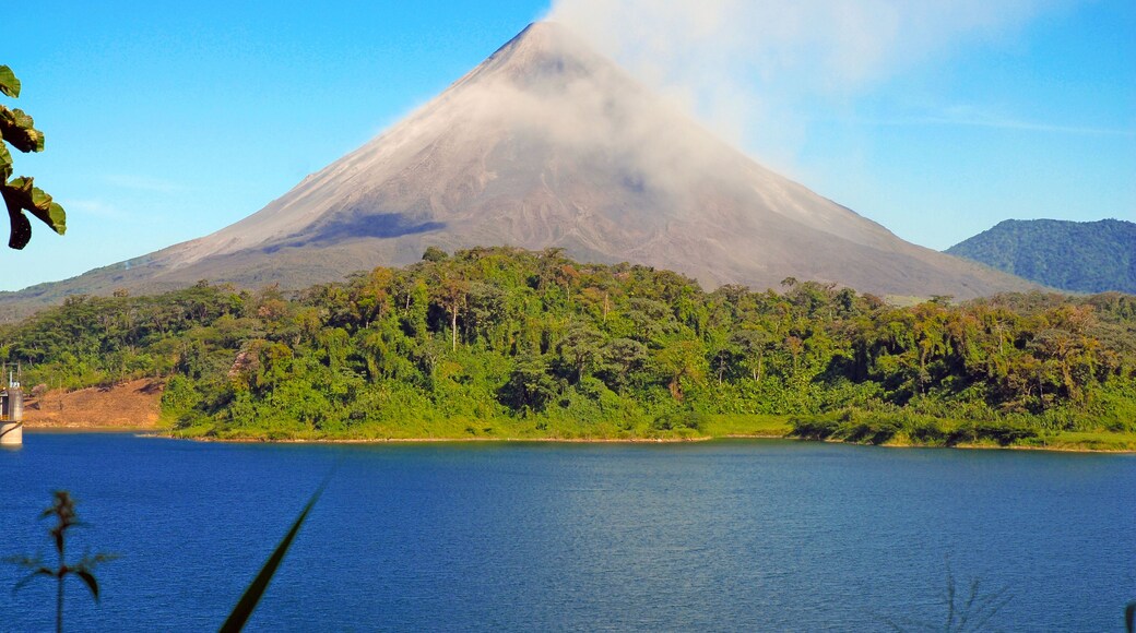 佩涅斯布蘭卡斯