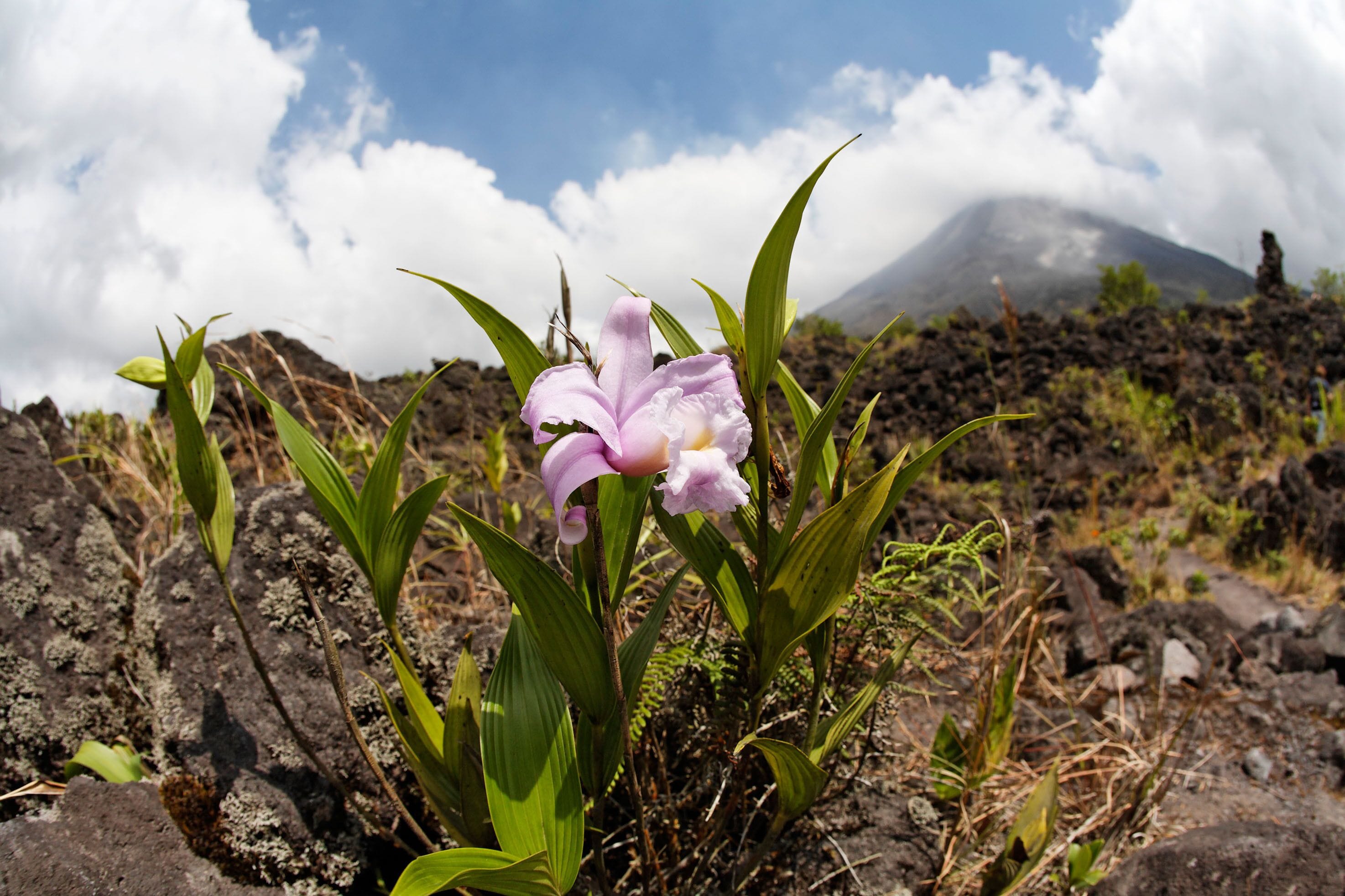 アレナル火山国立公園