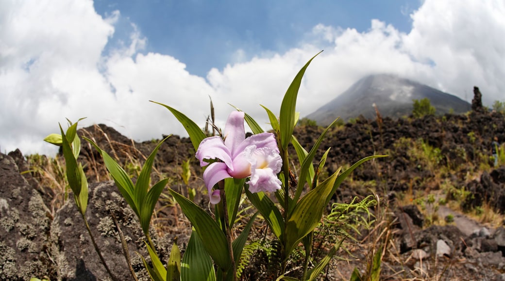 アレナル火山国立公園