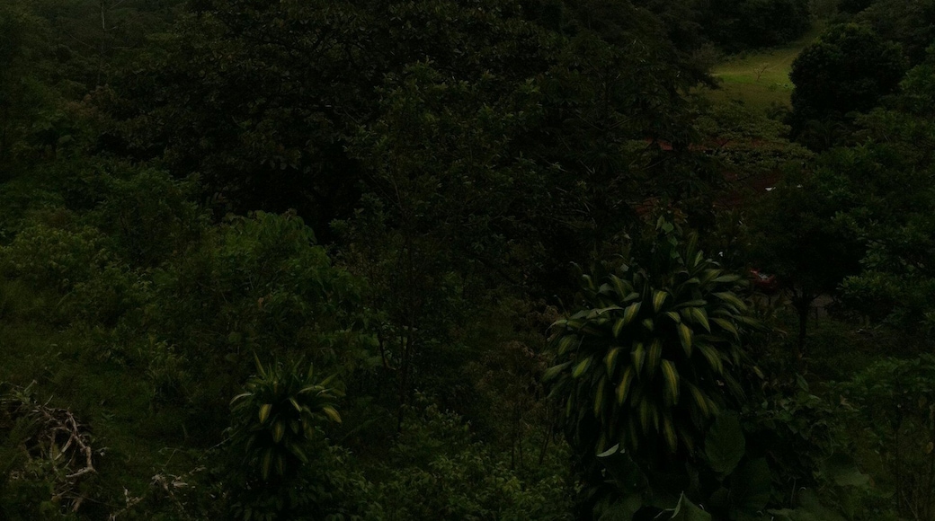 アレナル火山国立公園