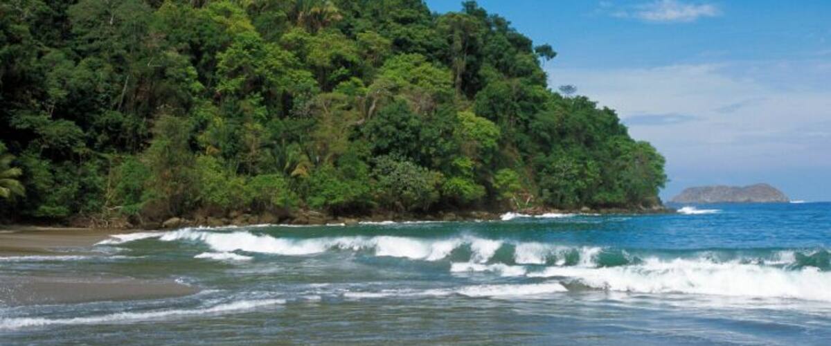 A beach with waves, a forested island, and a clear sky.