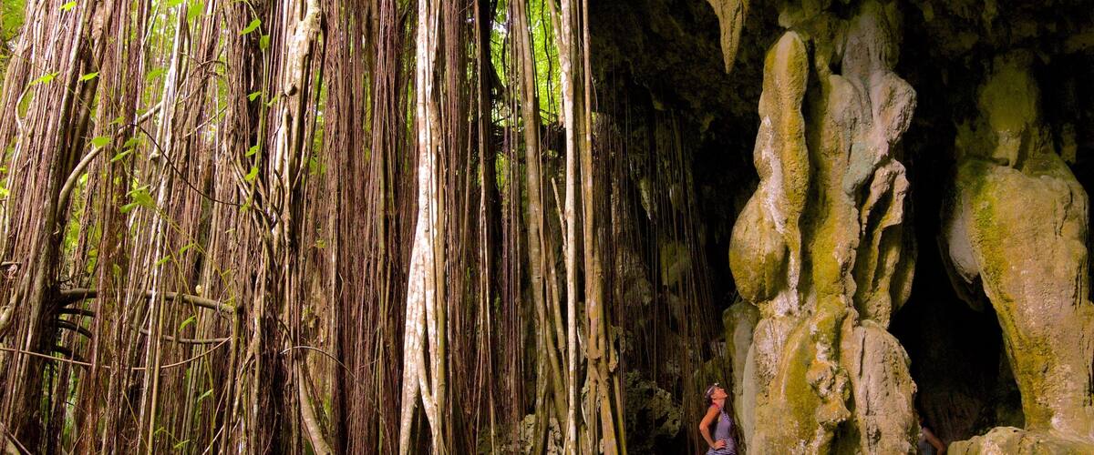 Anatakitaki Cave johon kuuluu luolat sekä yksi nainen
