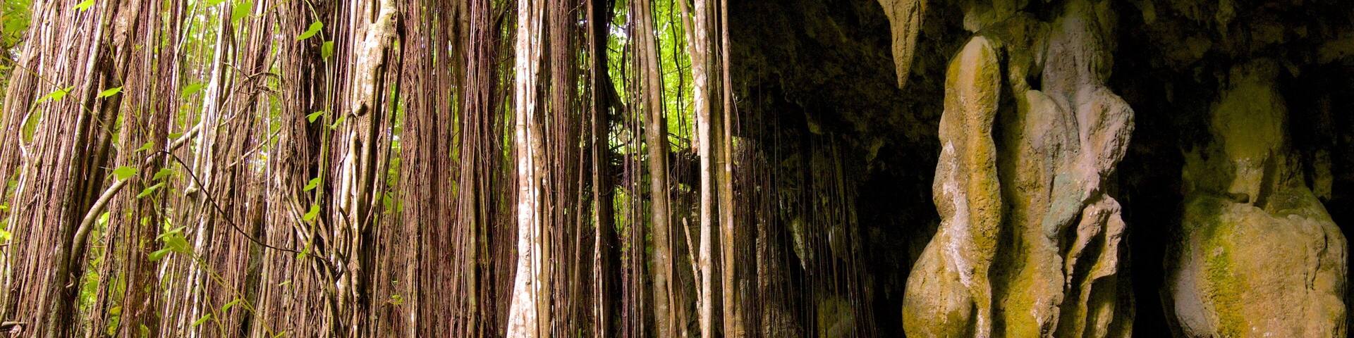 Anatakitaki Cave featuring caves as well as an individual femail