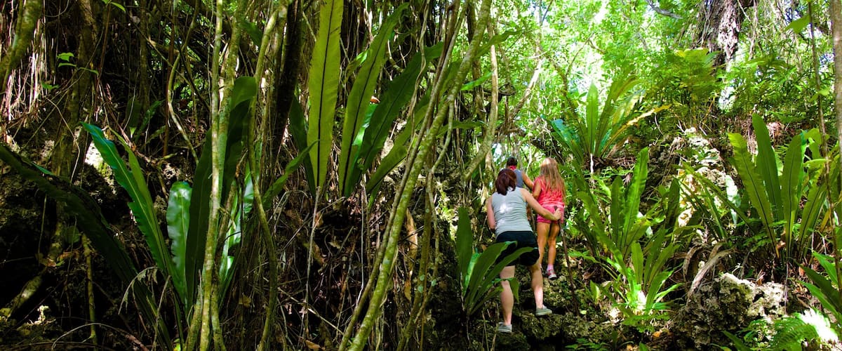 Anatakitaki Cave featuring patikointi tai kävely ja sademetsä sekä pieni ryhmä ihmisiä