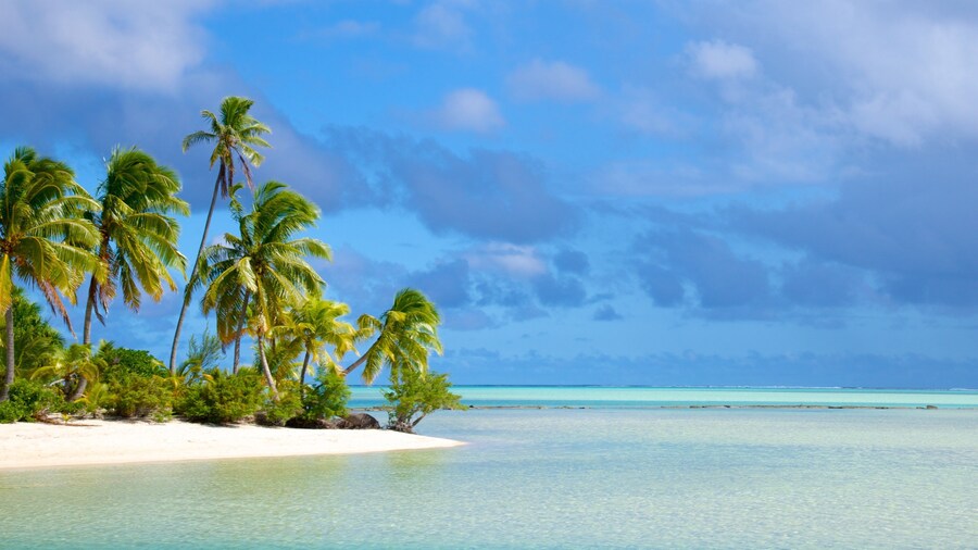 One Foot Island Beach showing a beach and tropical scenes