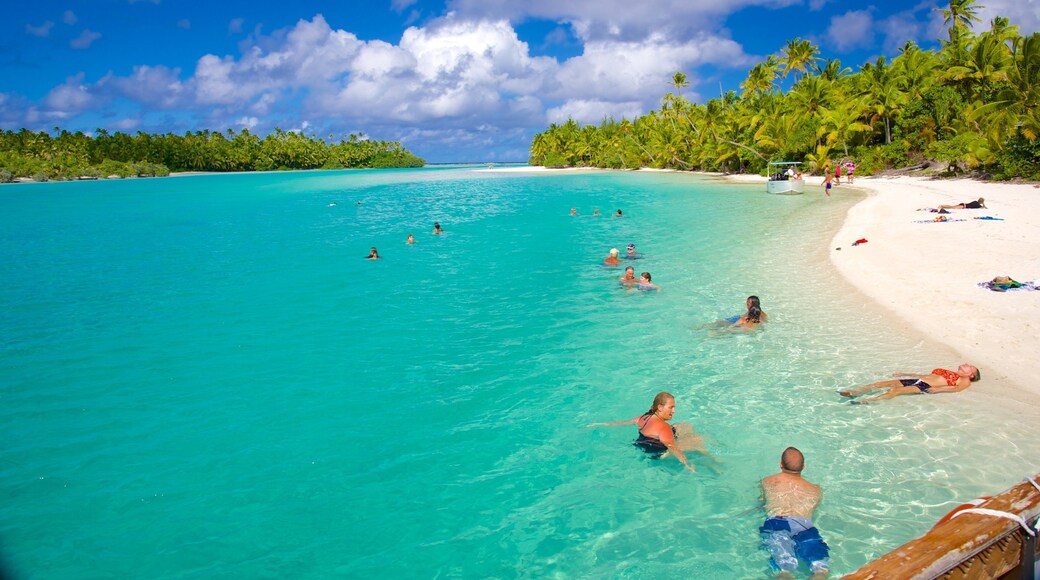 One Foot Island Beach showing a sandy beach as well as a small group of people