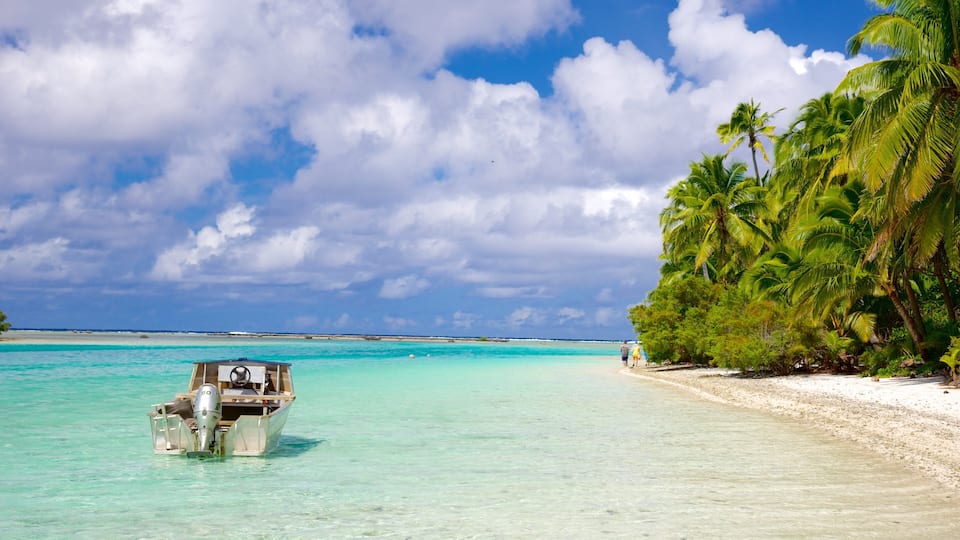 A boat on turquoise water, a sandy beach, and palm trees.