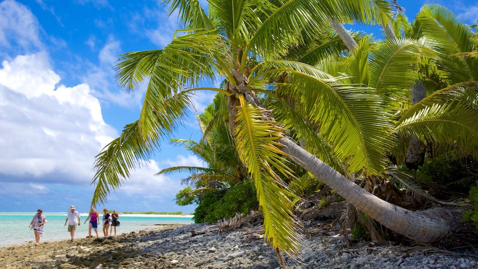 A beach with palm trees, people walking, and clear blue water.