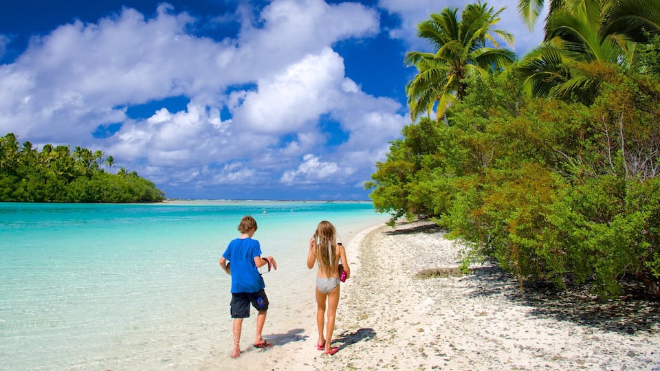 A beach with turquoise water, white sand, and palm trees.
