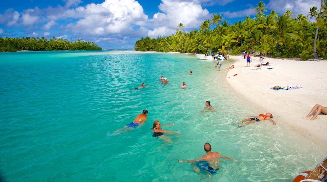 Spiaggia di One Foot Island che include paesaggio tropicale e spiaggia cosi come un piccolo gruppo di persone