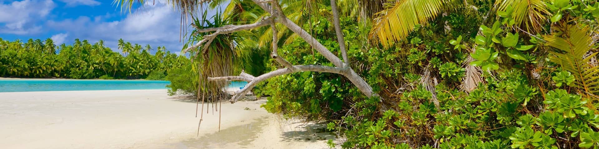 One Foot Island Beach featuring a sandy beach and tropical scenes