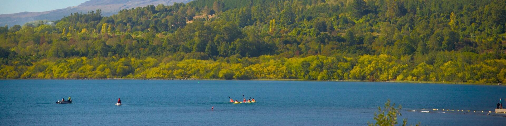 Lac Villarrica qui includes un lac ou un point dâeau, paysages en forĂȘt et montagnes