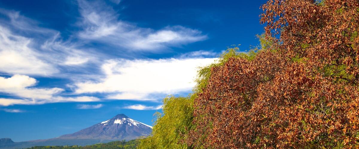 Lago Villarrica que incluye un parque, montañas y un lago o espejo de agua