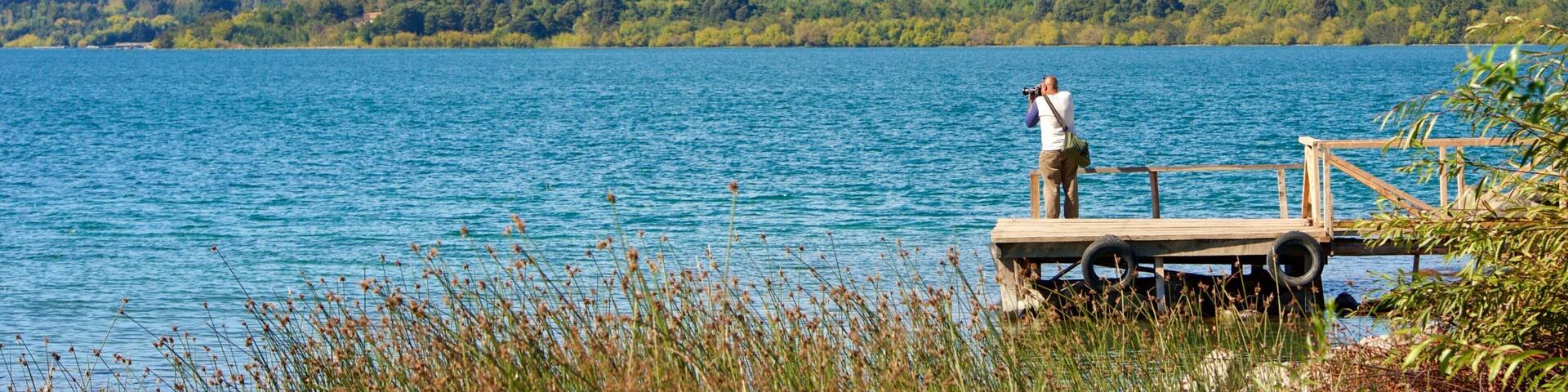 Lake Villarrica showing mountains and a lake or waterhole as well as an individual male