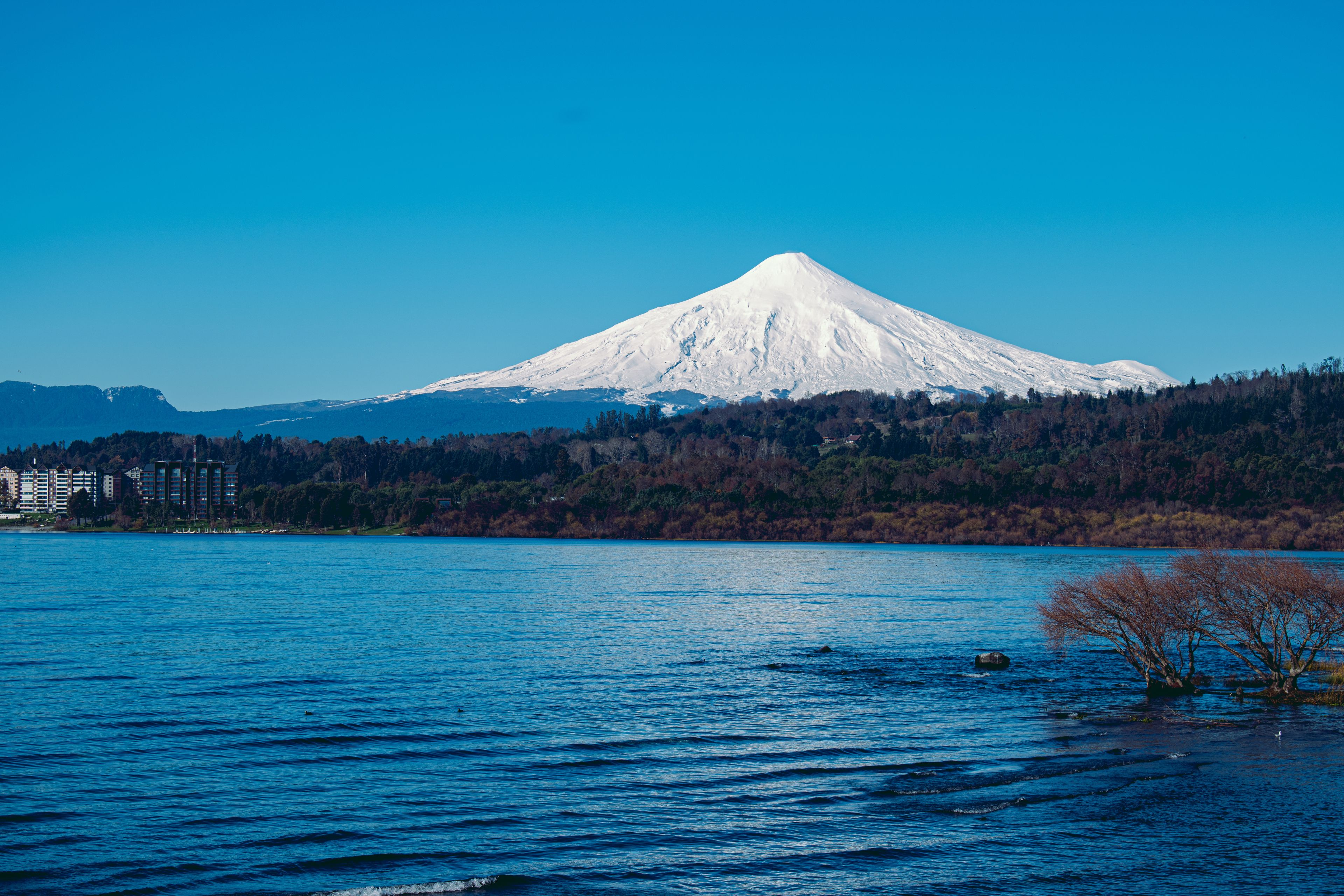 A snow-capped mountain, a body of water, and a forested area with buildings in the distance.