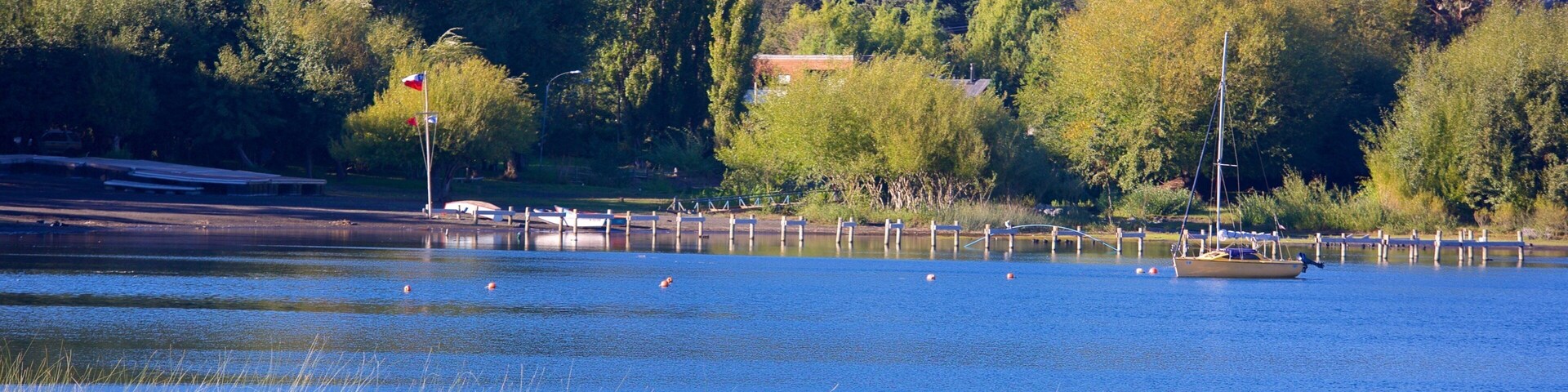 Un lago con un bote, juncos y casas al fondo.