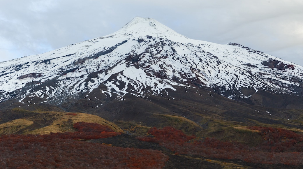 Villarrica National Park showing mountains and snow
