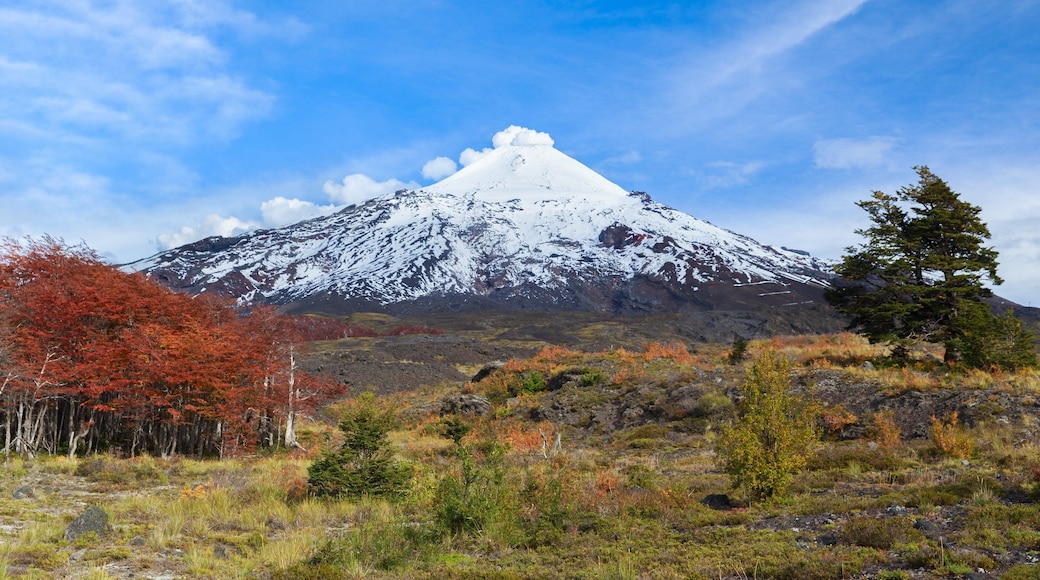 Villarrica National Park showing tranquil scenes, snow and mountains