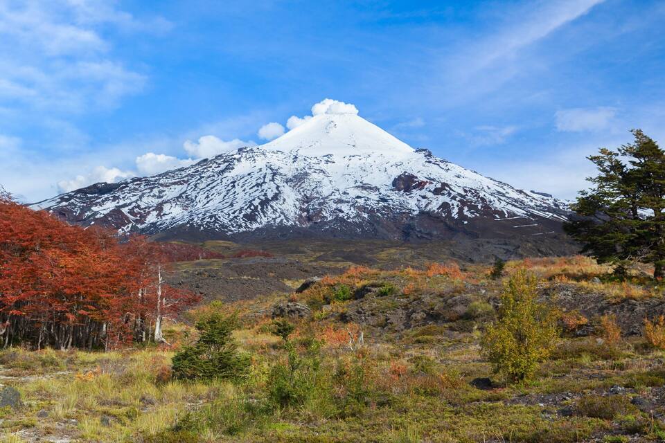A snow-capped mountain with autumn foliage in the foreground.