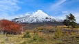Villarrica National Park showing tranquil scenes, snow and mountains