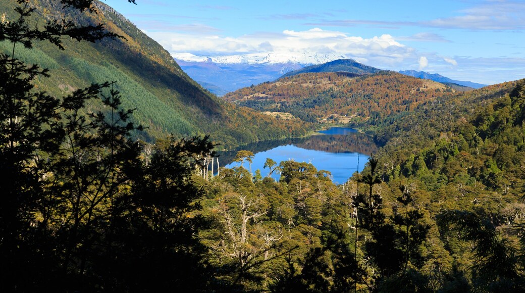 Huerquehue National Park which includes a lake or waterhole, landscape views and tranquil scenes