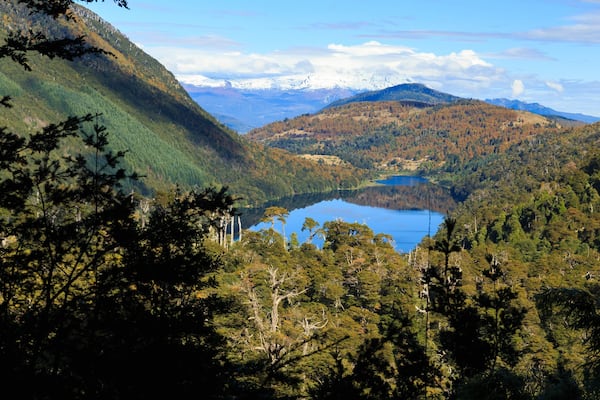 Huerquehue National Park which includes a lake or waterhole, landscape views and tranquil scenes