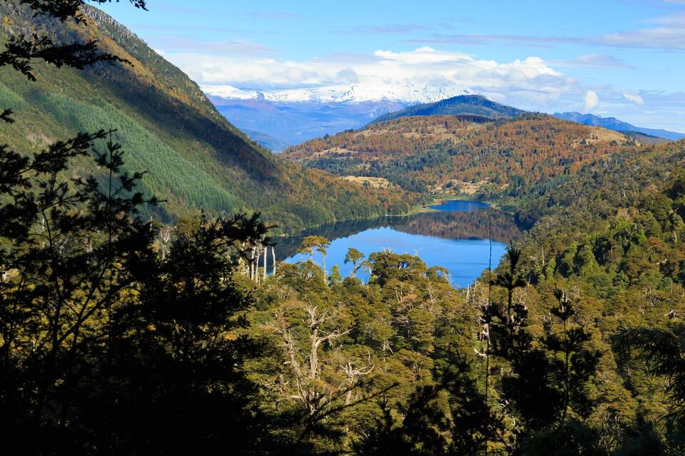 A mountainous landscape with a lake surrounded by dense forests and snow-capped peaks in the distance.