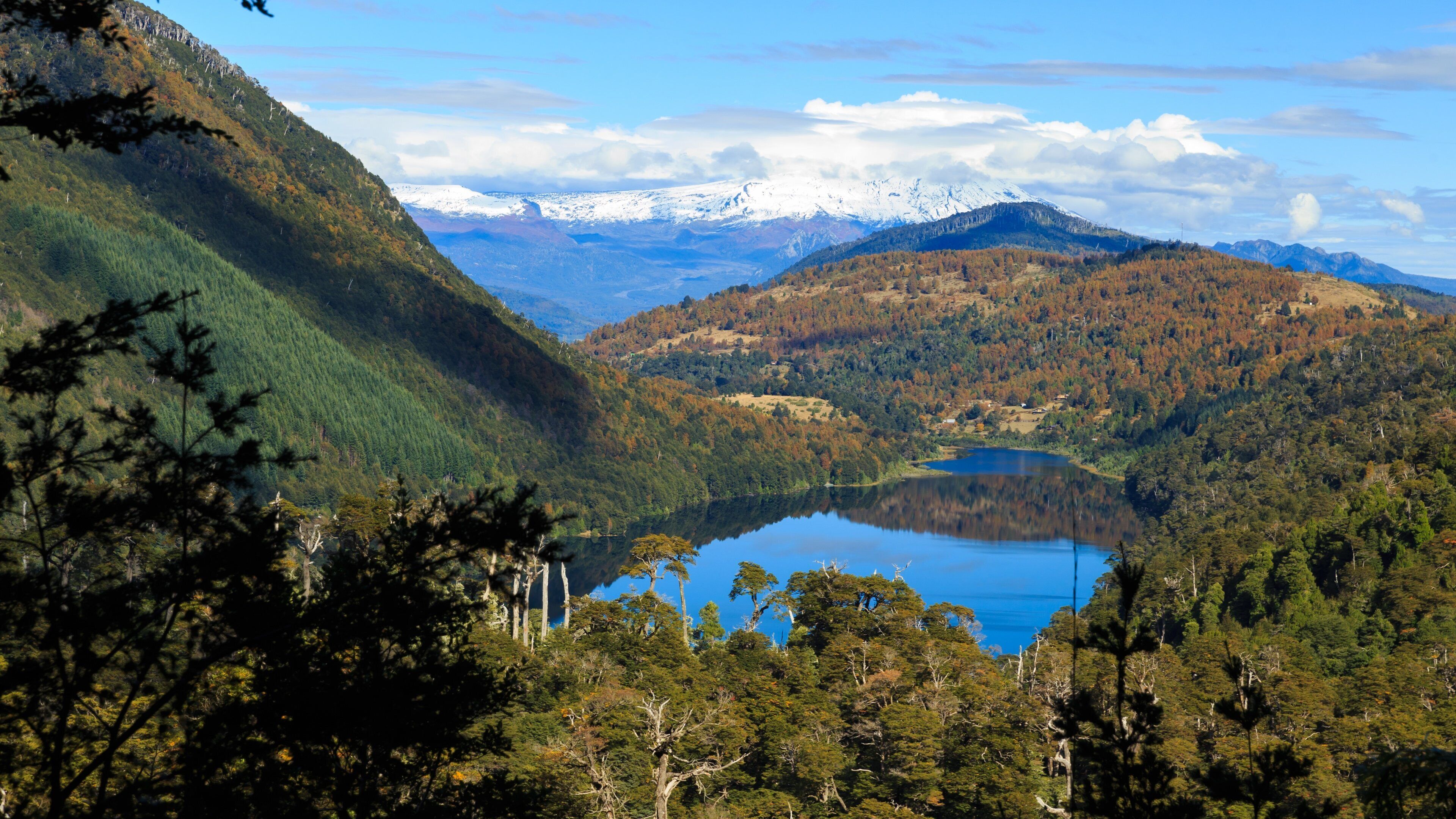 Huerquehue National Park featuring tranquil scenes, landscape views and a lake or waterhole