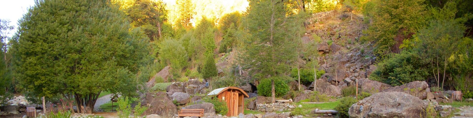 Los Pozones Hot Springs which includes a hot spring and forest scenes