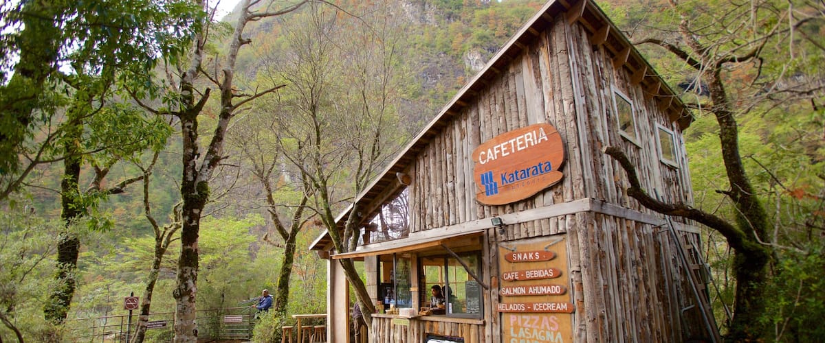 A rustic wooden building labeled 'CAFETERIA Katarata' surrounded by trees.