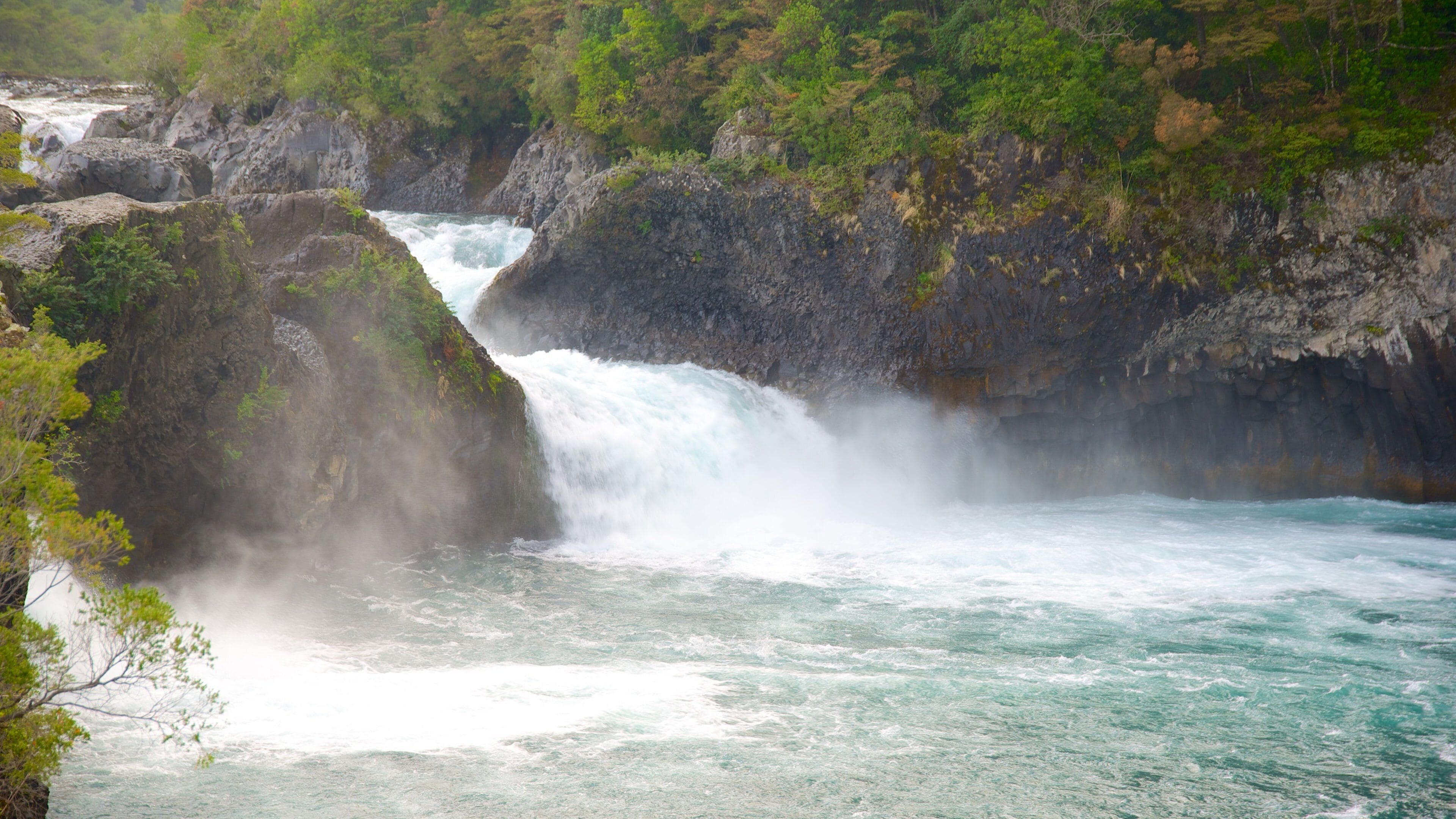 Chutes de Petrohue qui includes rivière ou ruisseau et rapides