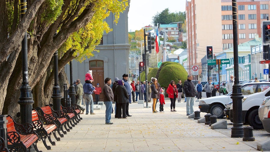 Plaza Munoz Gamero featuring street scenes and city views